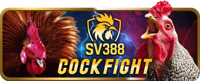 Hỗ trợ và giải đáp thắc mắc về khuyến mãi s6667 win